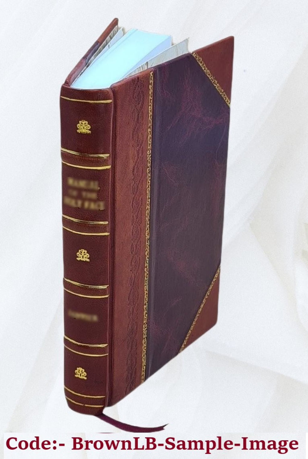 Life of James G. Blaine D1090