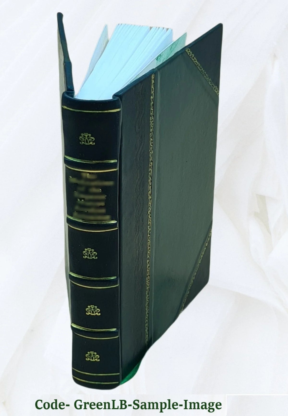 Life of James G. Blaine D1090