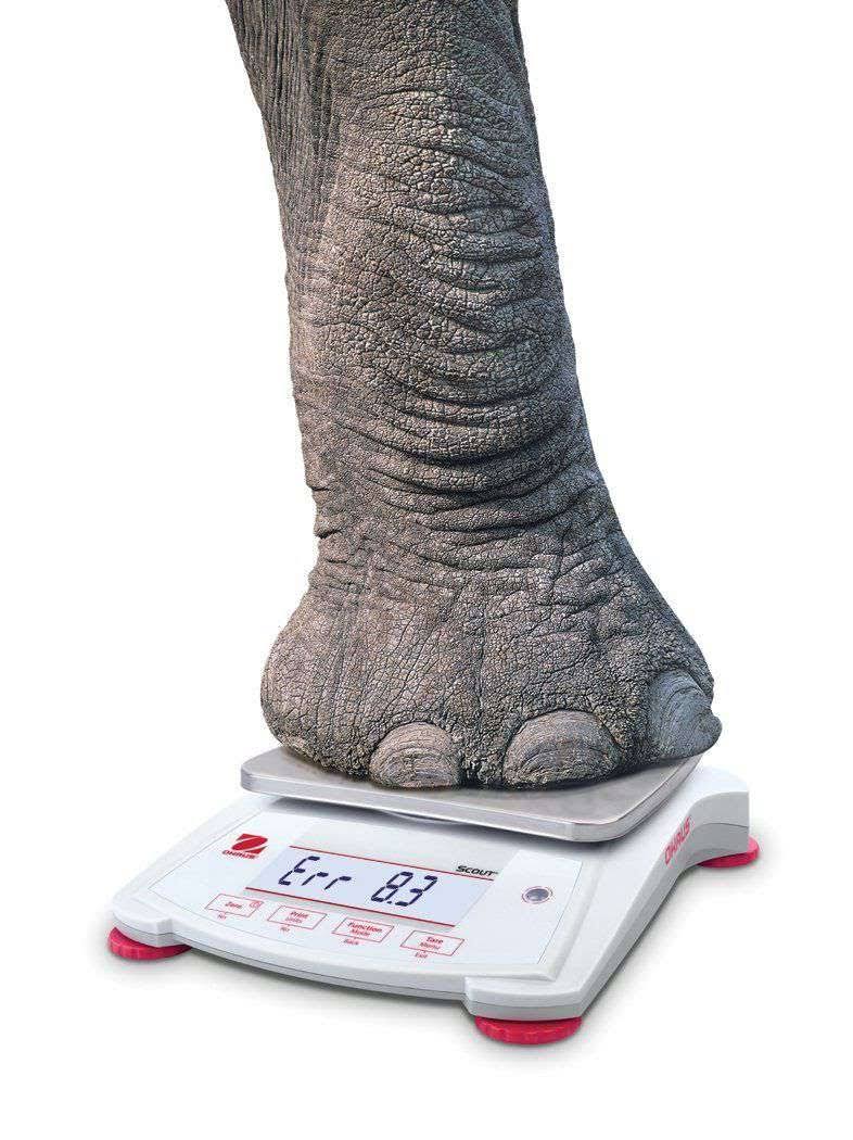 Portable Balance with LCD Screen, 620 G Capacity C6590