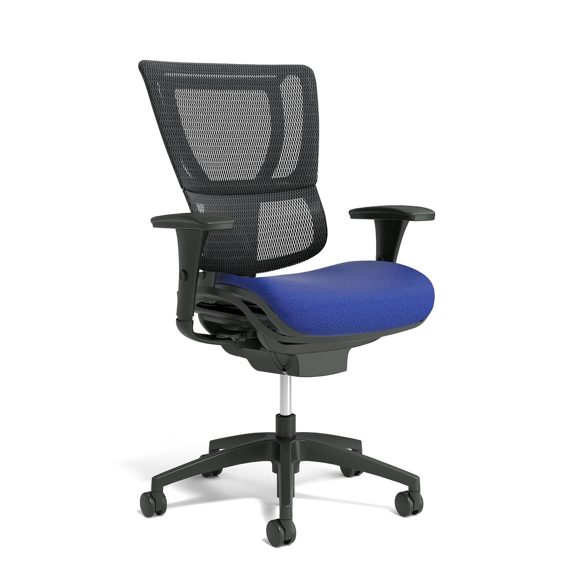 Blue/Black Mesh Back Task Chair P363542