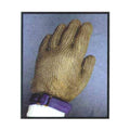 Cut Resistant Glove N654088