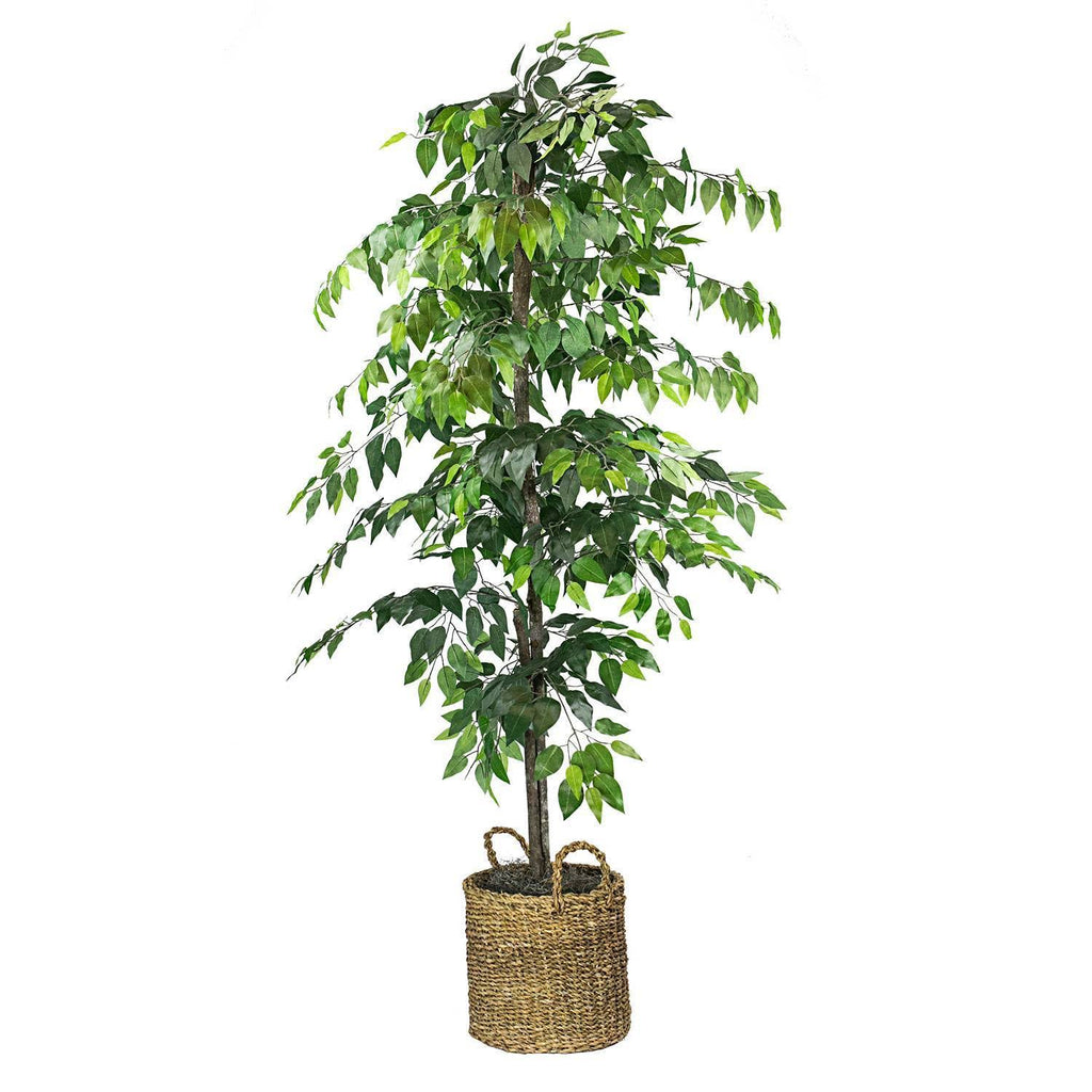 Faux Ficus Tree in Handwoven Basket D90454
