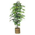 Faux Ficus Tree in Handwoven Basket D90454