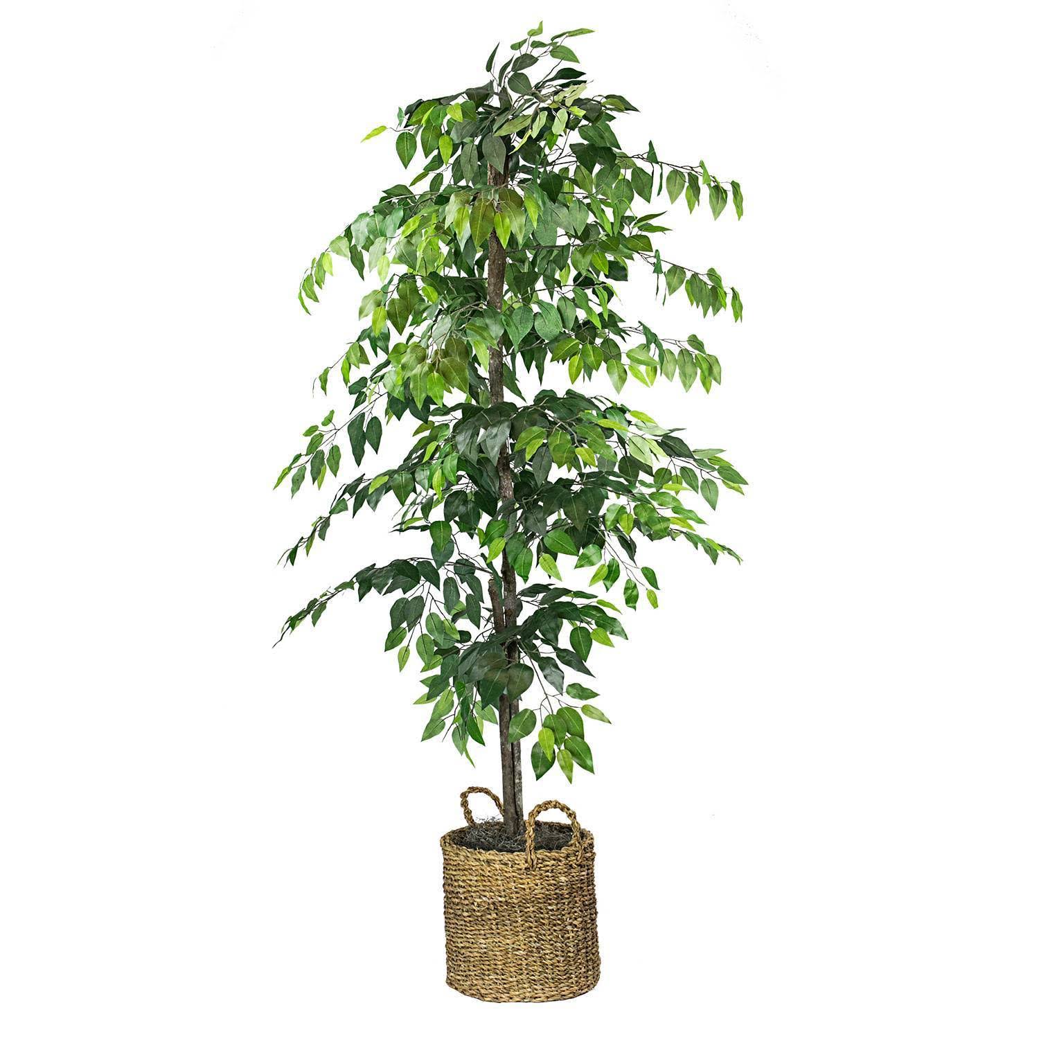 Faux Ficus Tree in Handwoven Basket D90454