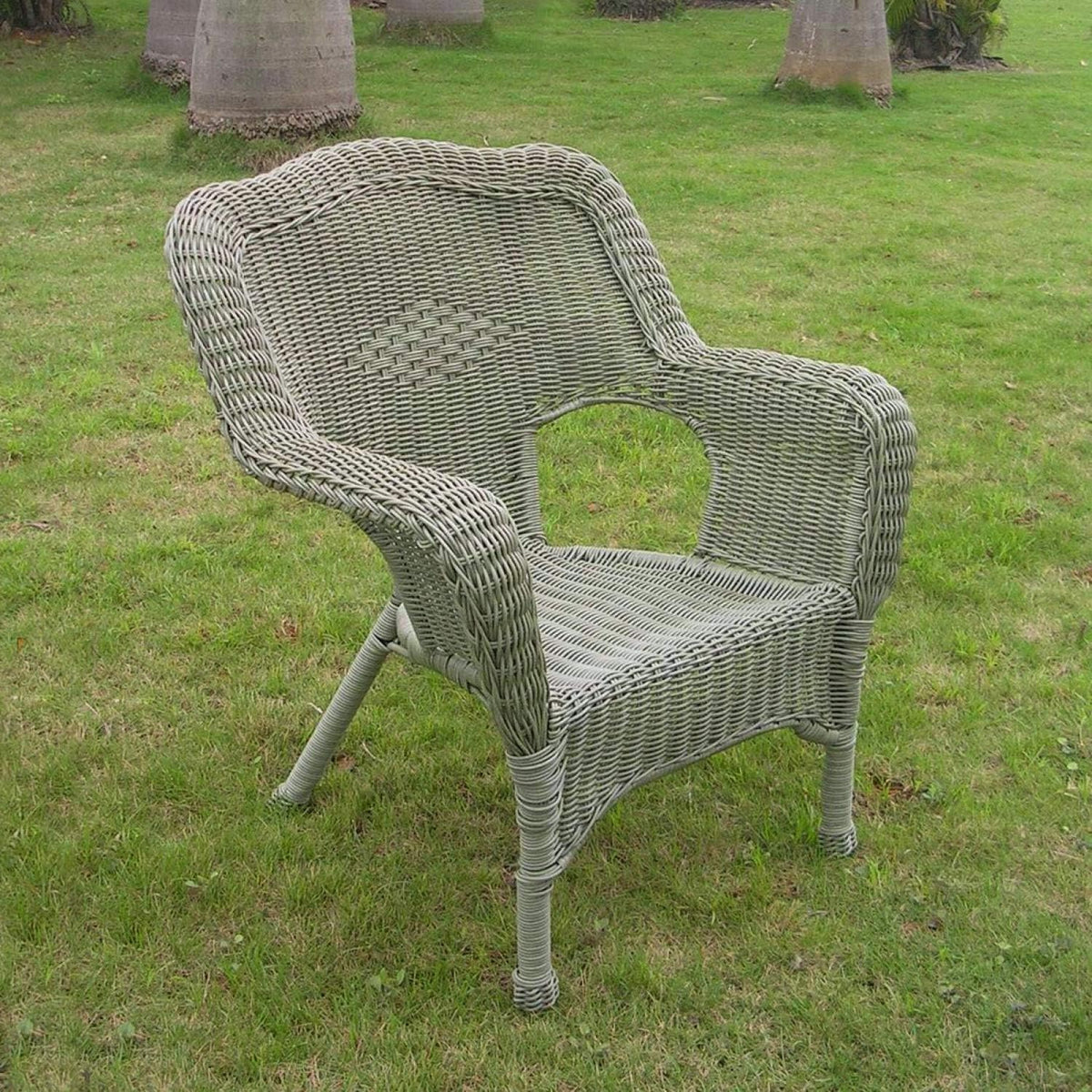 Camelback Resin Wicker Patio Chairs (Set of 2) A991