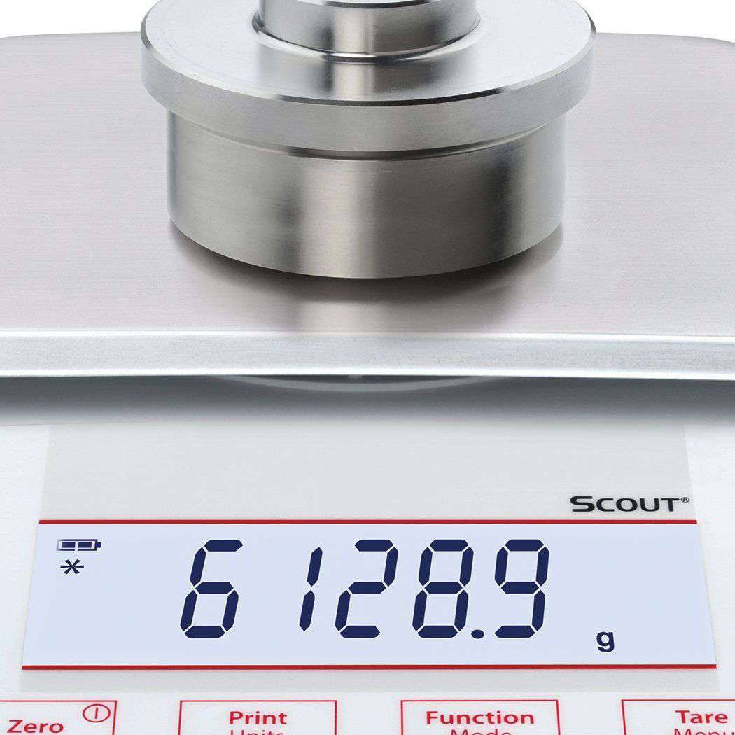 Portable Balance with LCD Screen, 620 G Capacity C6590