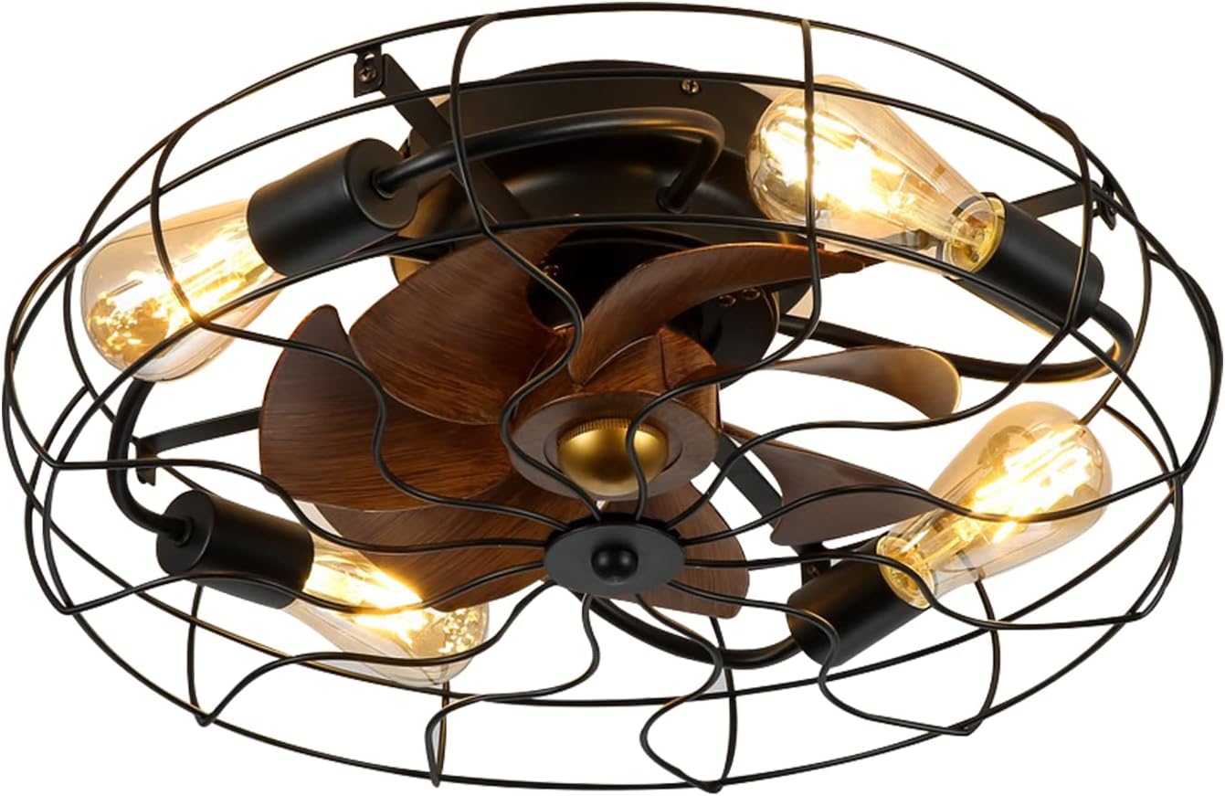 Black Caged Bladeless Ceiling Fan with Lights Remote Control F2976