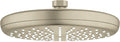 8 Inch Chrome Showerhead Y16352