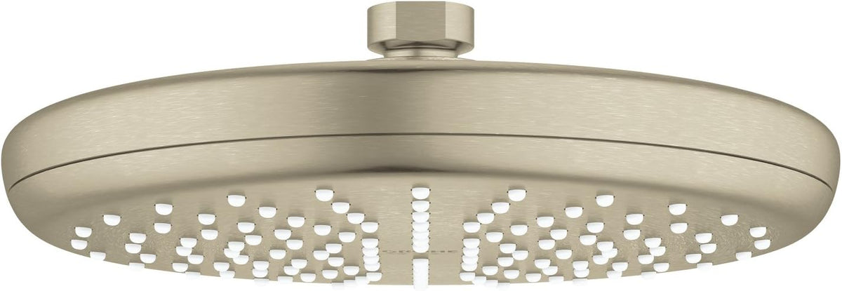 8 Inch Chrome Showerhead Y16352