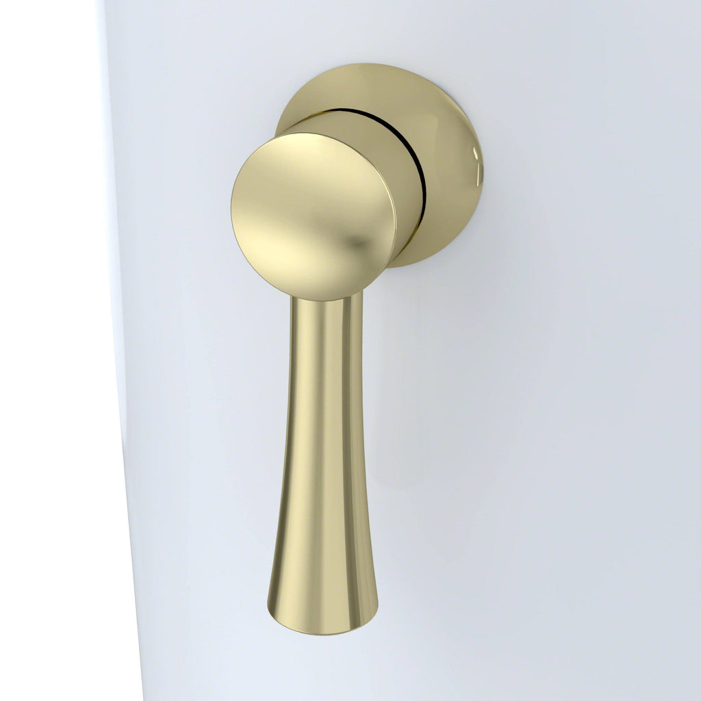 Polished Brass Trip Lever M9310
