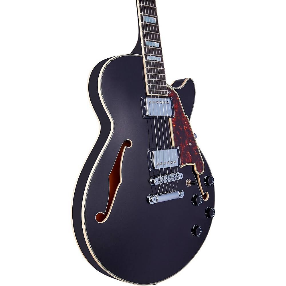 Black Flake Guitar with Stopbar Tailpiece R872030