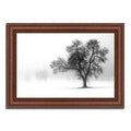 Framed Photograph Print G228