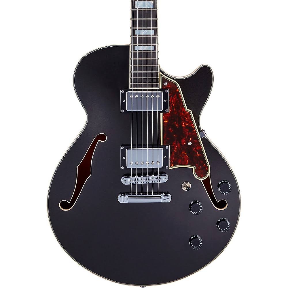 Black Flake Guitar with Stopbar Tailpiece R872030