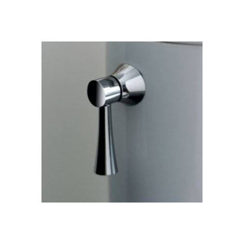 Polished Brass Trip Lever M9310