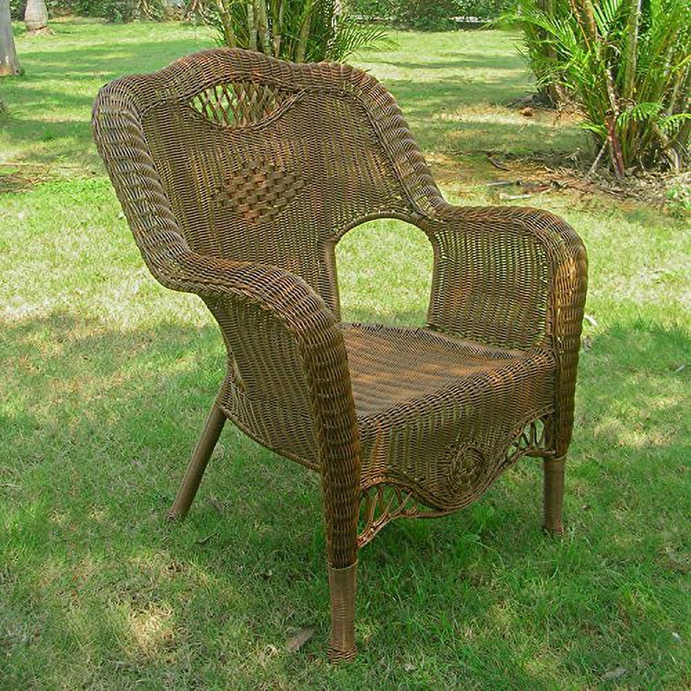 Mocha Tan Resin Wicker Outdoor Dining Chair T5323