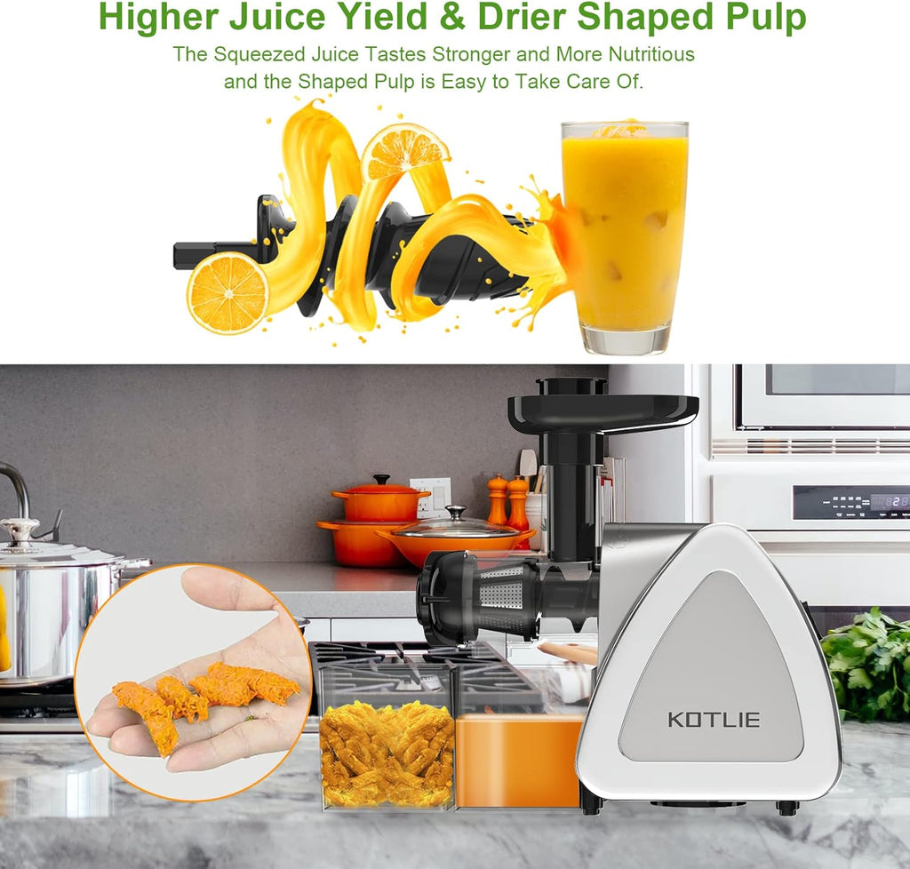 Silver Slow Masticating Juicer with Brush S389