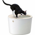White Top Entry Cat Litter Box F99857