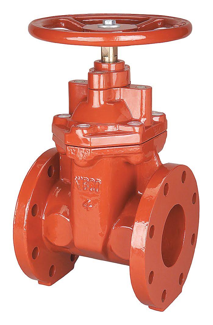 3 in. Flange Gate Valve U516