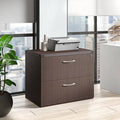 2-Drawer Lateral Filing Cabinet Q5593