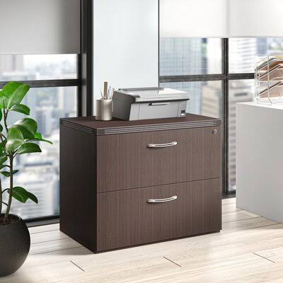 2-Drawer Lateral Filing Cabinet Q5593