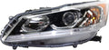 Headlight Assembly Halogen Driver Side T11617
