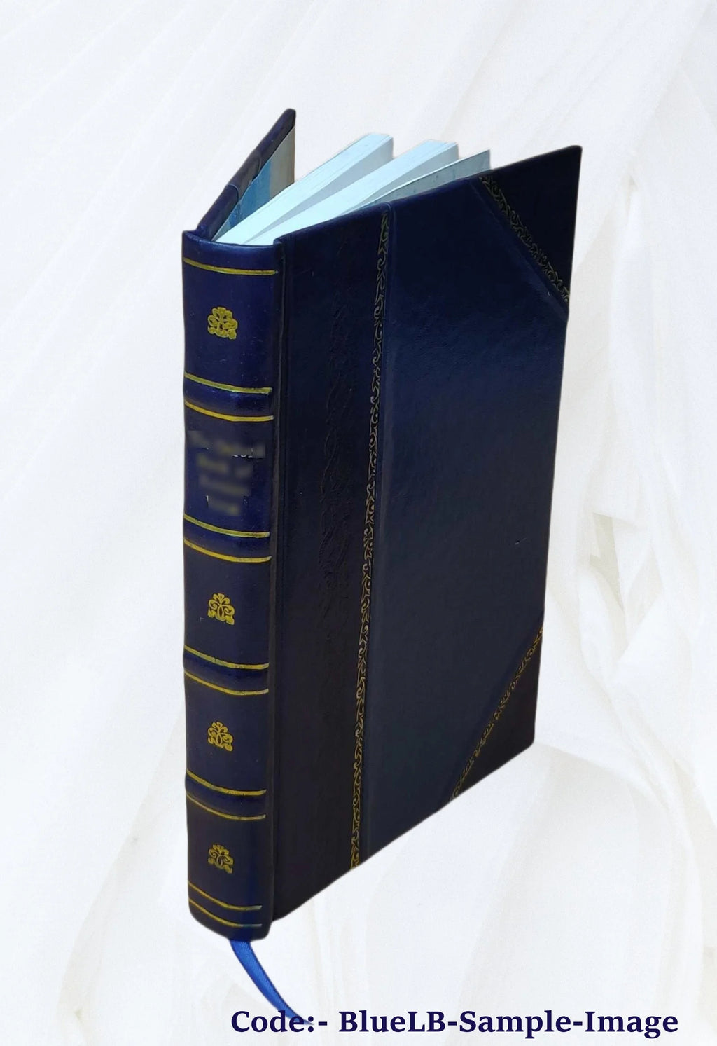 Leather Bound Book Q18702