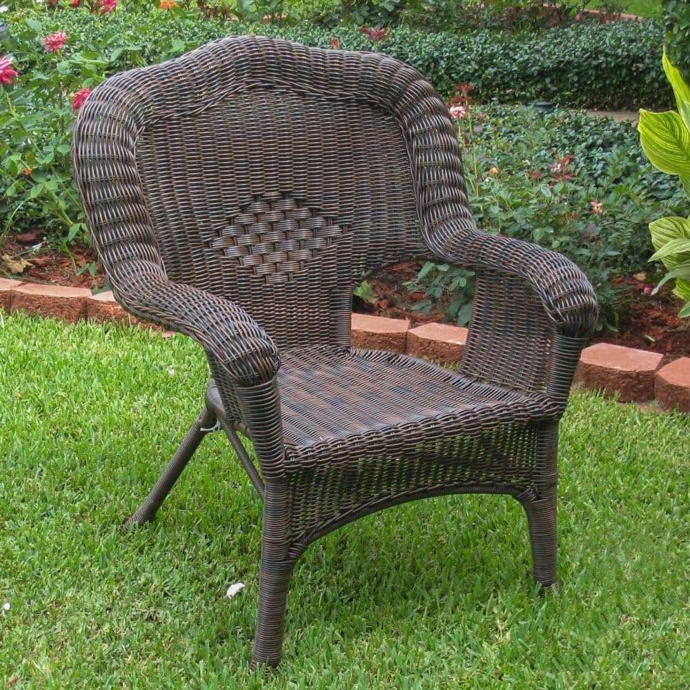Camelback Resin Wicker Patio Chairs (Set of 2) A991