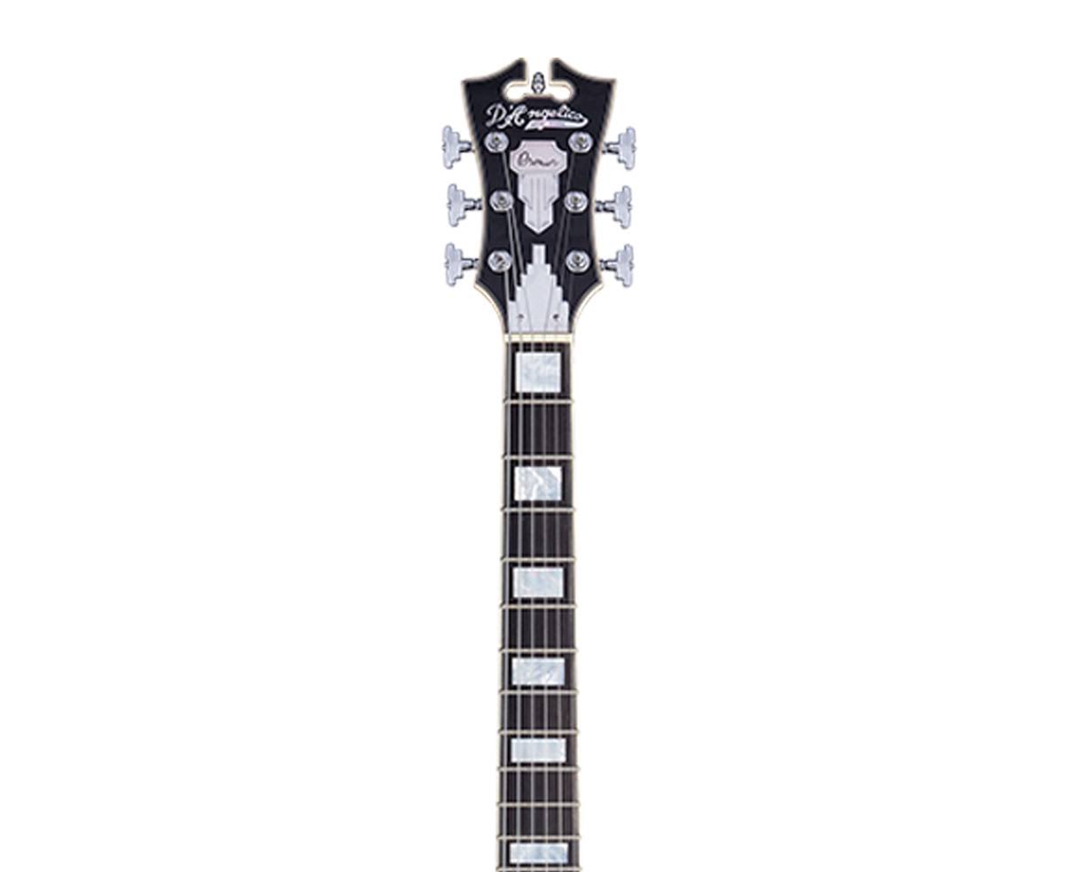 Black Flake Guitar with Stopbar Tailpiece R872030