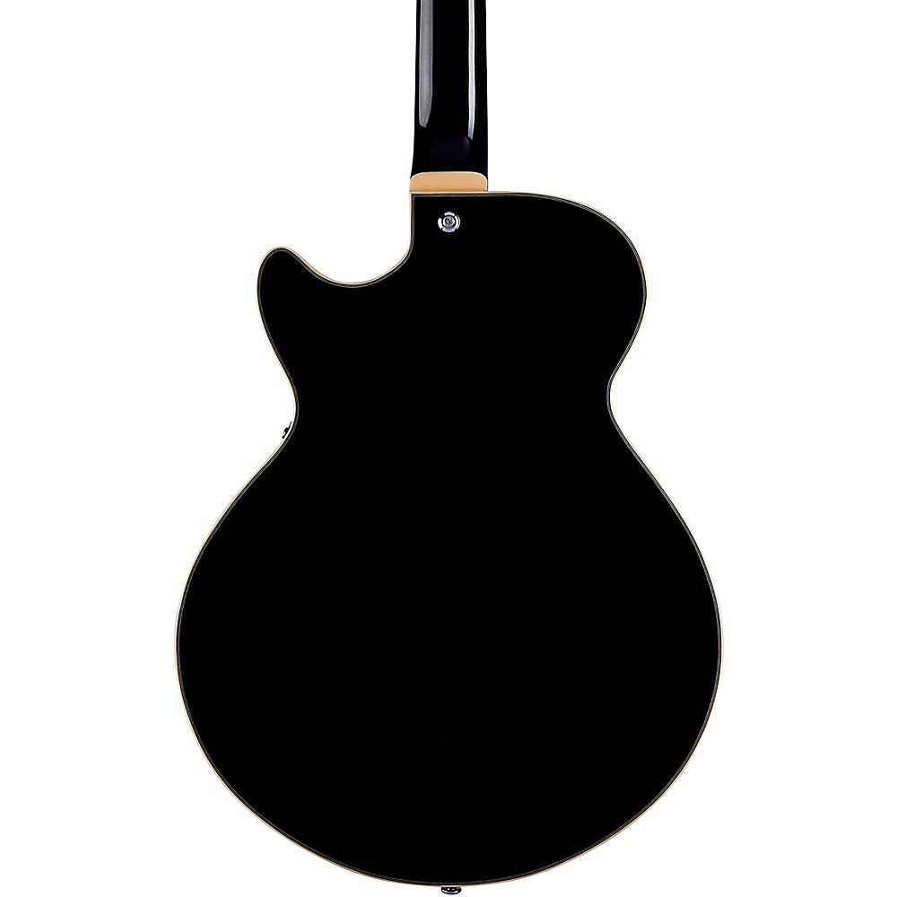 Black Flake Guitar with Stopbar Tailpiece R872030