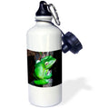 Sports Water Bottle 21oz S222