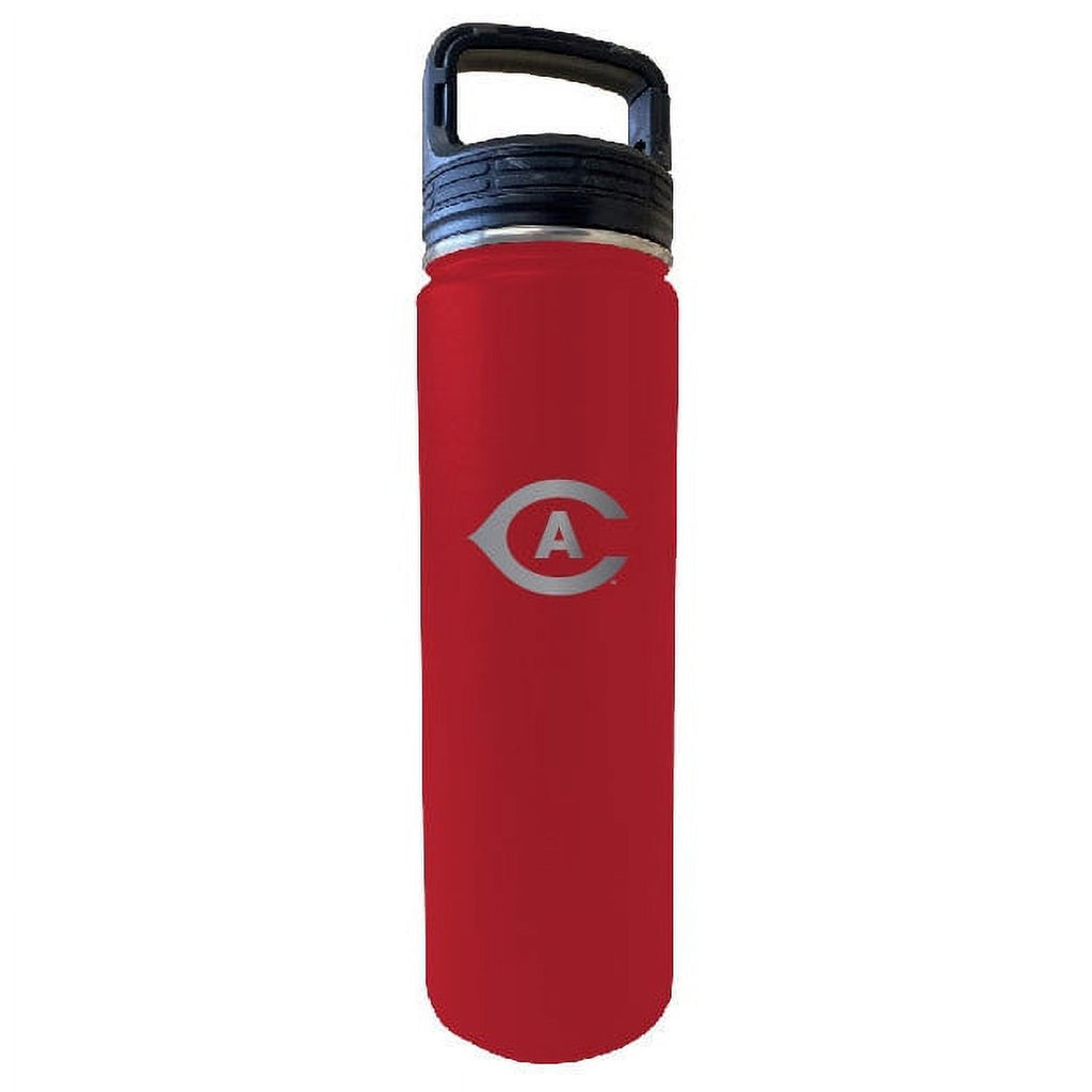 32oz Stainless Steel Tumbler D174