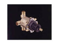 Project Pack Pressure-Balancing Valve with PVC Connections G6818