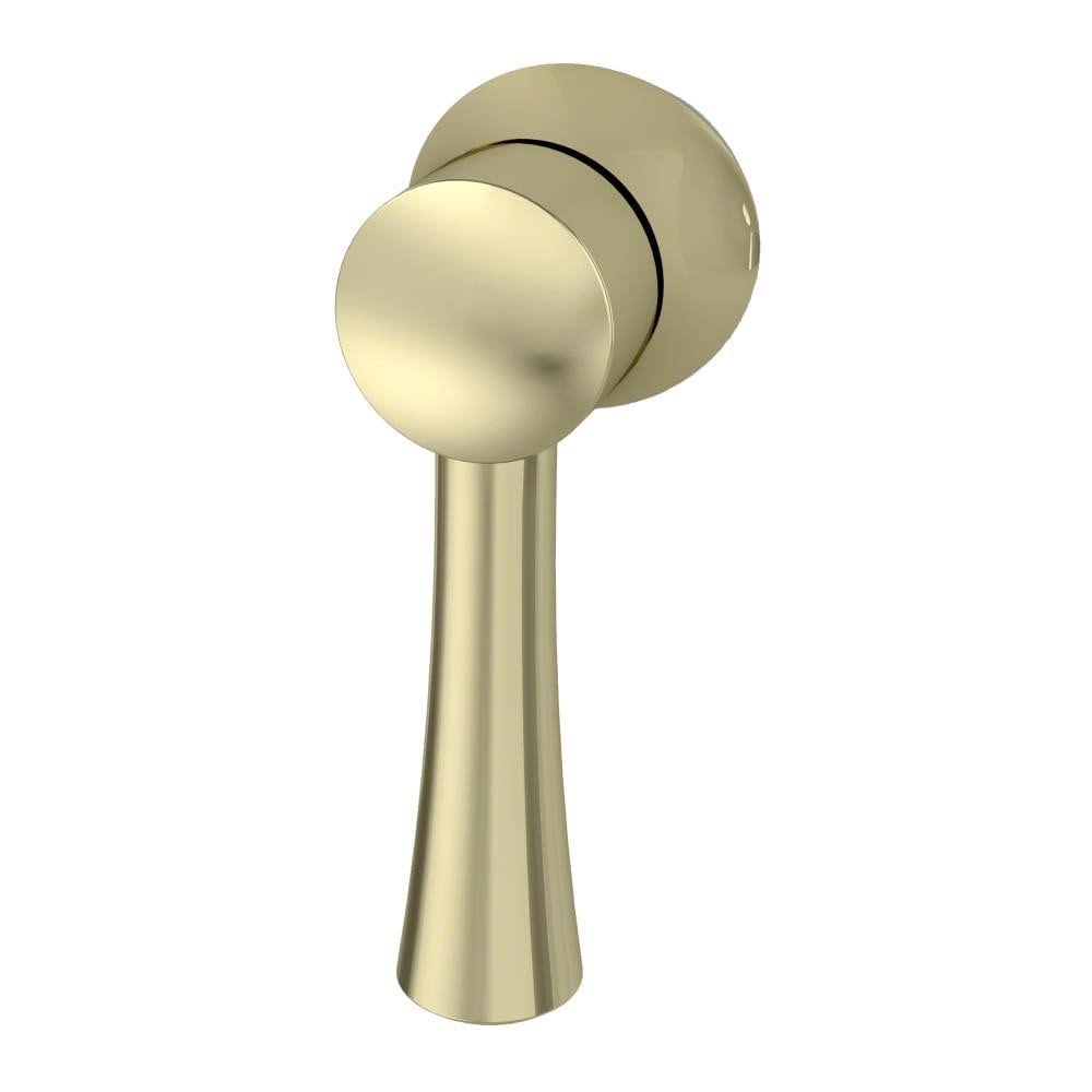 Polished Brass Trip Lever M9310