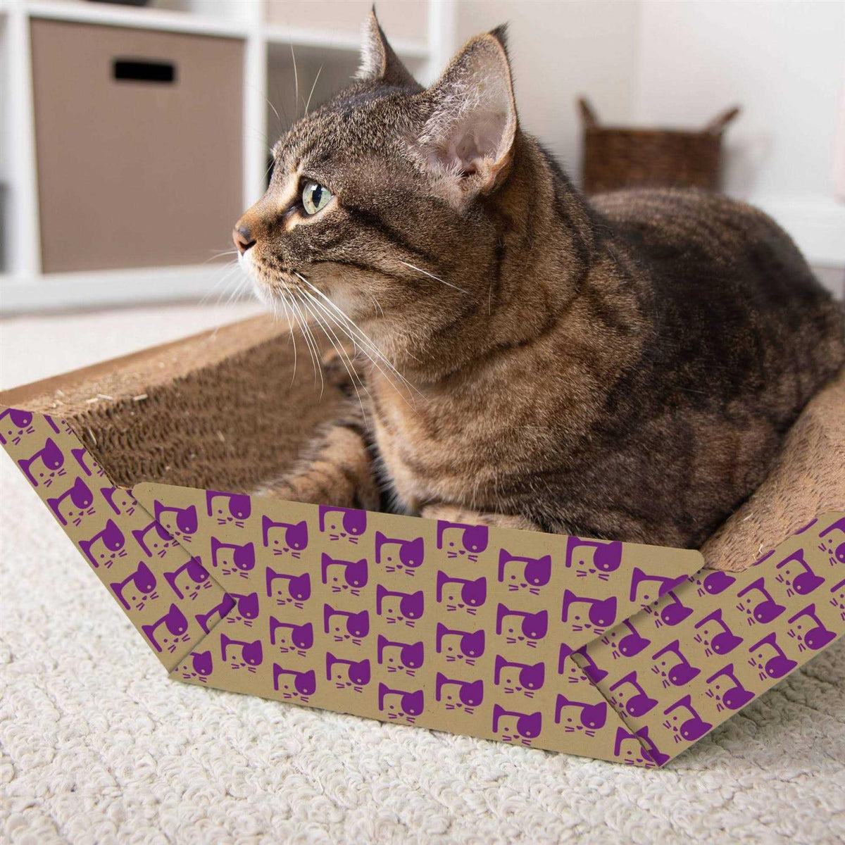 Catnip-Infused Corrugate Cat Scratcher & Lounge V96806