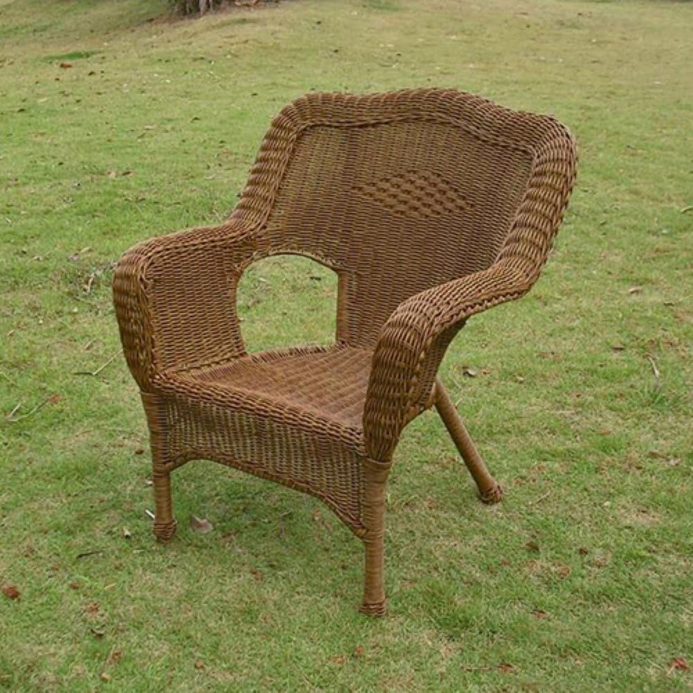 Camelback Resin Wicker Patio Chairs (Set of 2) A991