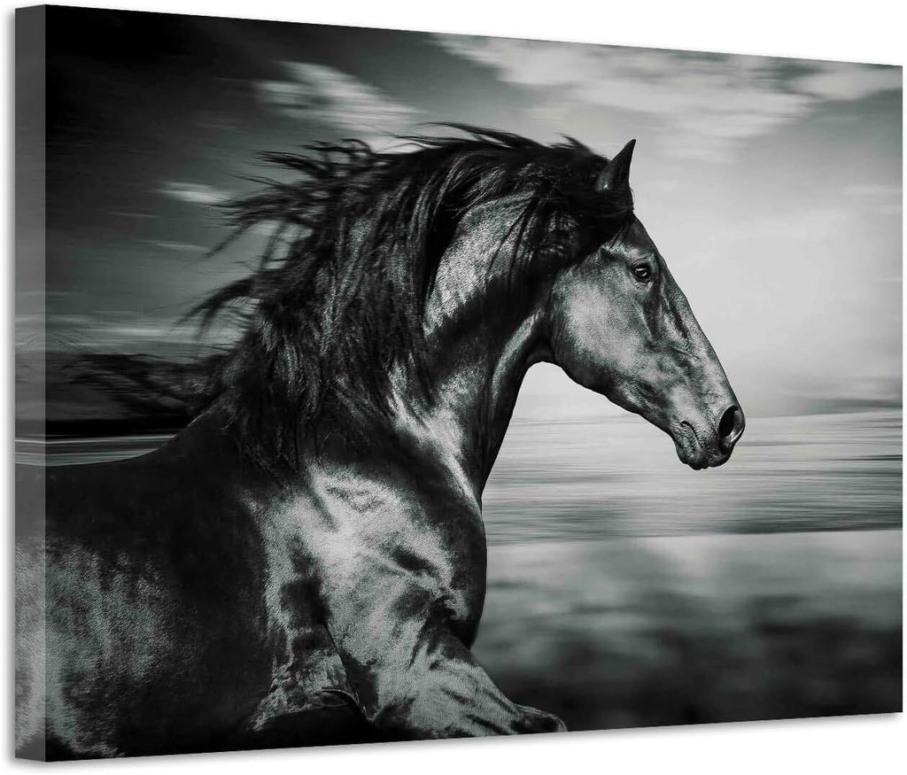 Black Horse Canvas Picture Prints Wild Animal Painting Art Artwork on Canvas D107978