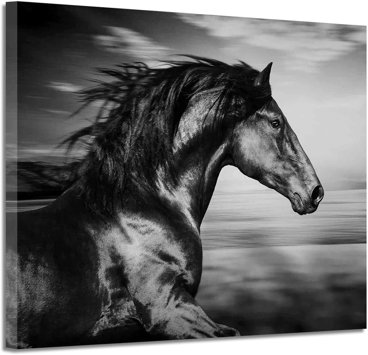 Black Horse Canvas Picture Prints Wild Animal Painting Art Artwork on Canvas D107978