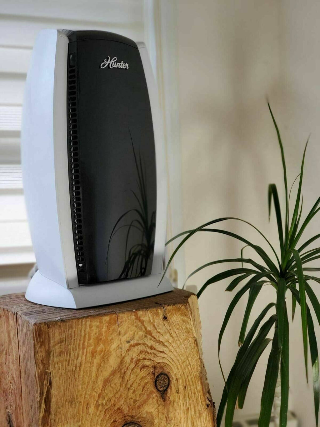 HEPA+ Air Purifier C577