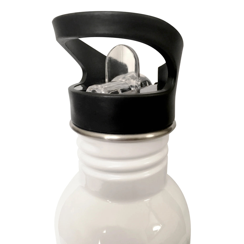 Red Fox Straw Water Bottle, 21-ounce P6006