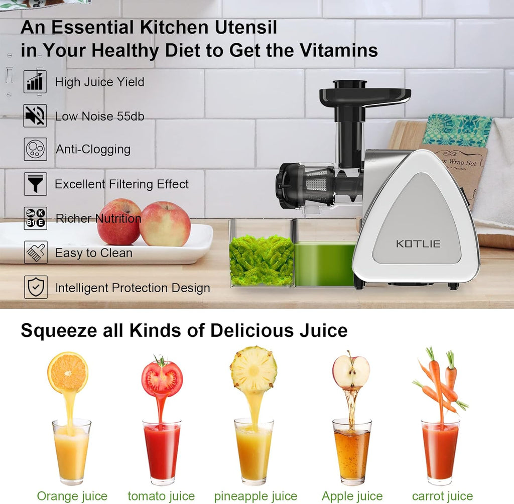 Silver Slow Masticating Juicer with Brush S389