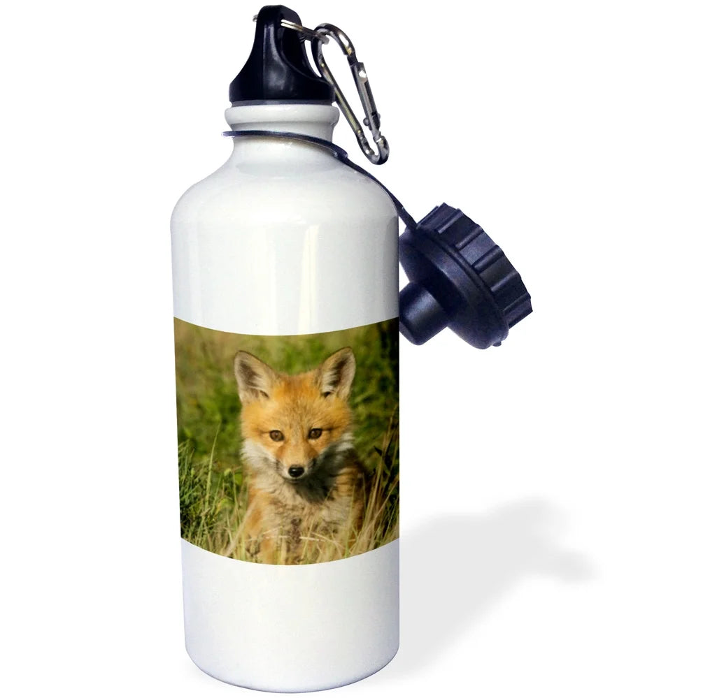 Red Fox Straw Water Bottle, 21-ounce P6006