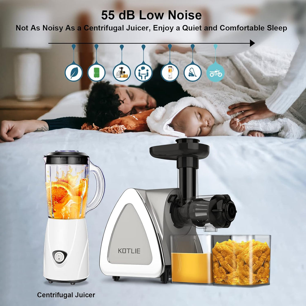 Silver Slow Masticating Juicer with Brush S389