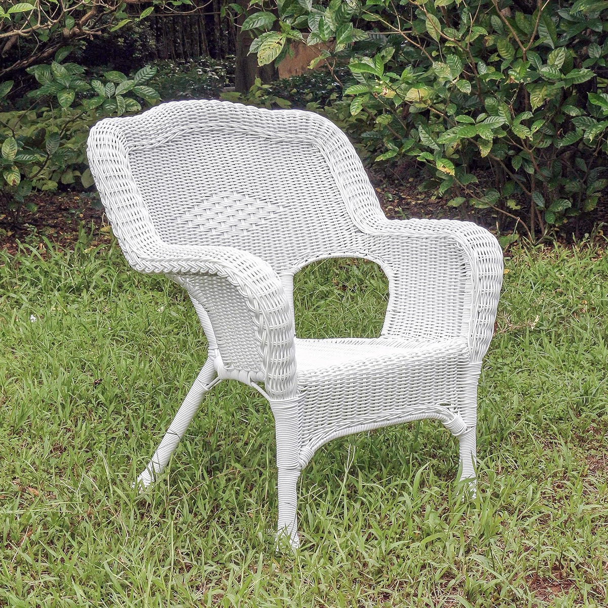 Camelback Resin Wicker Patio Chairs (Set of 2) A991