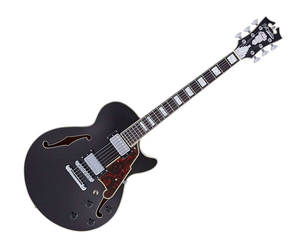 Black Flake Guitar with Stopbar Tailpiece R872030