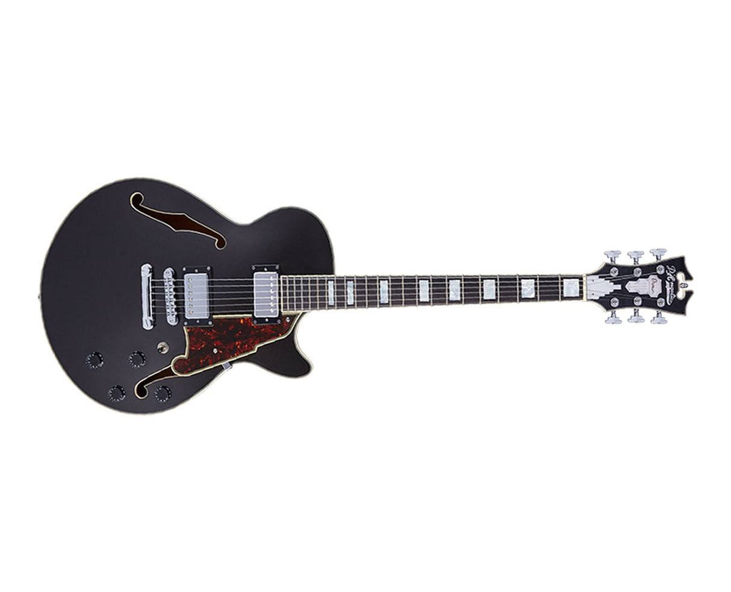 Black Flake Guitar with Stopbar Tailpiece R872030