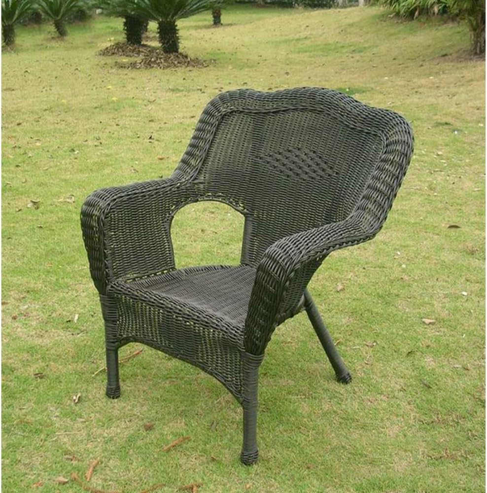 Camelback Resin Wicker Patio Chairs (Set of 2) A991