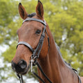 Black Bridle S173046