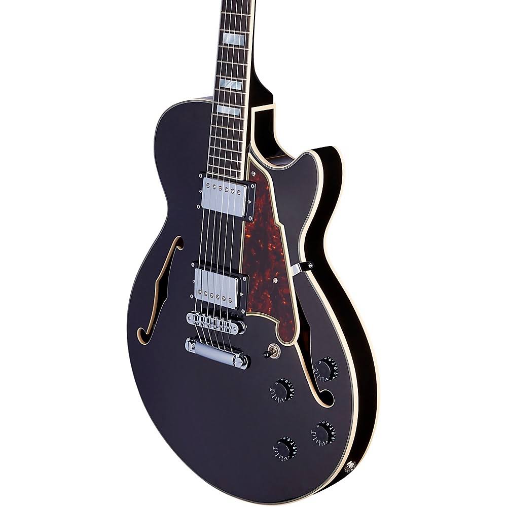 Black Flake Guitar with Stopbar Tailpiece R872030