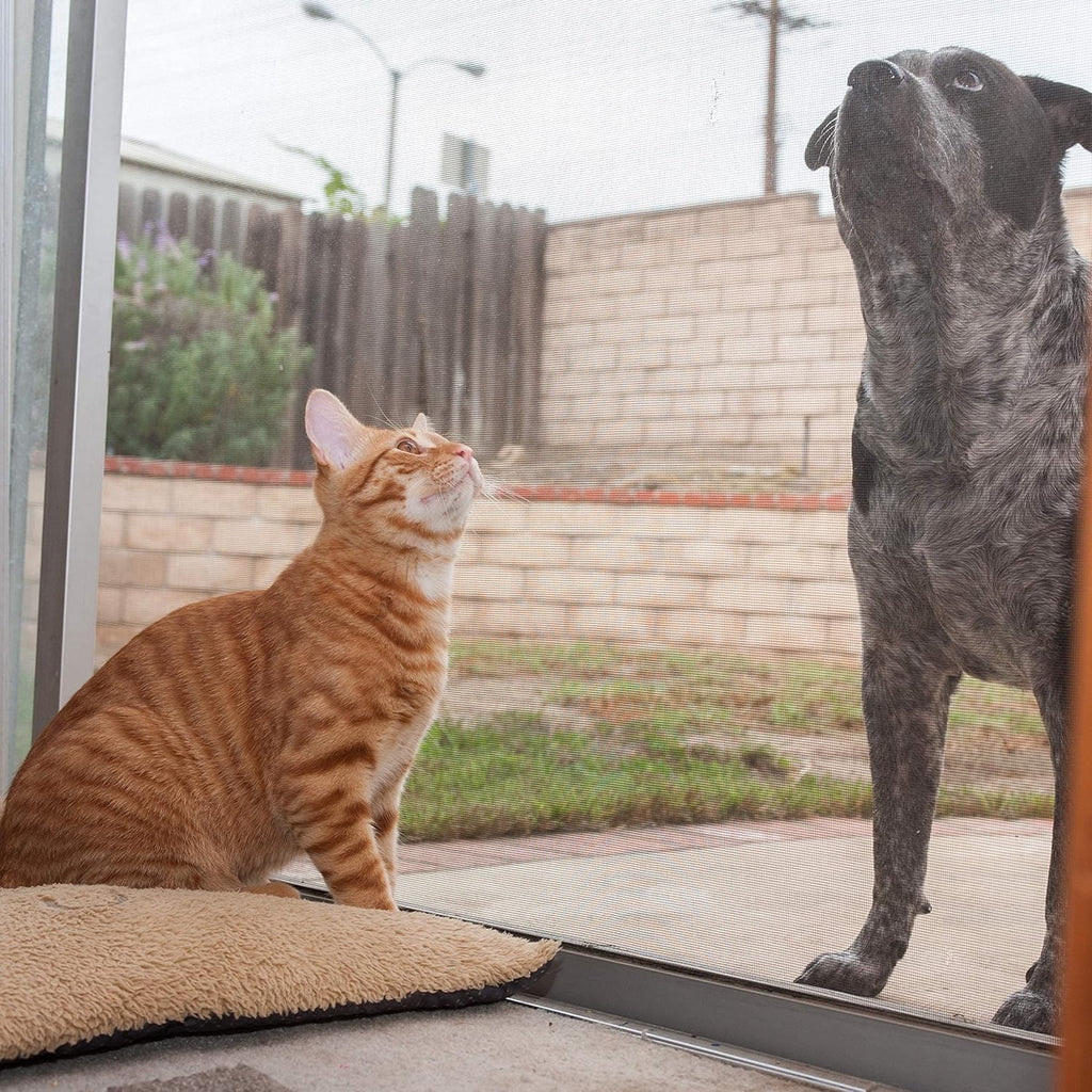 Pet Proof Screen for Window Screen, Patio Screen, Door Screen, Porch Screen, Pack of 2 J640914
