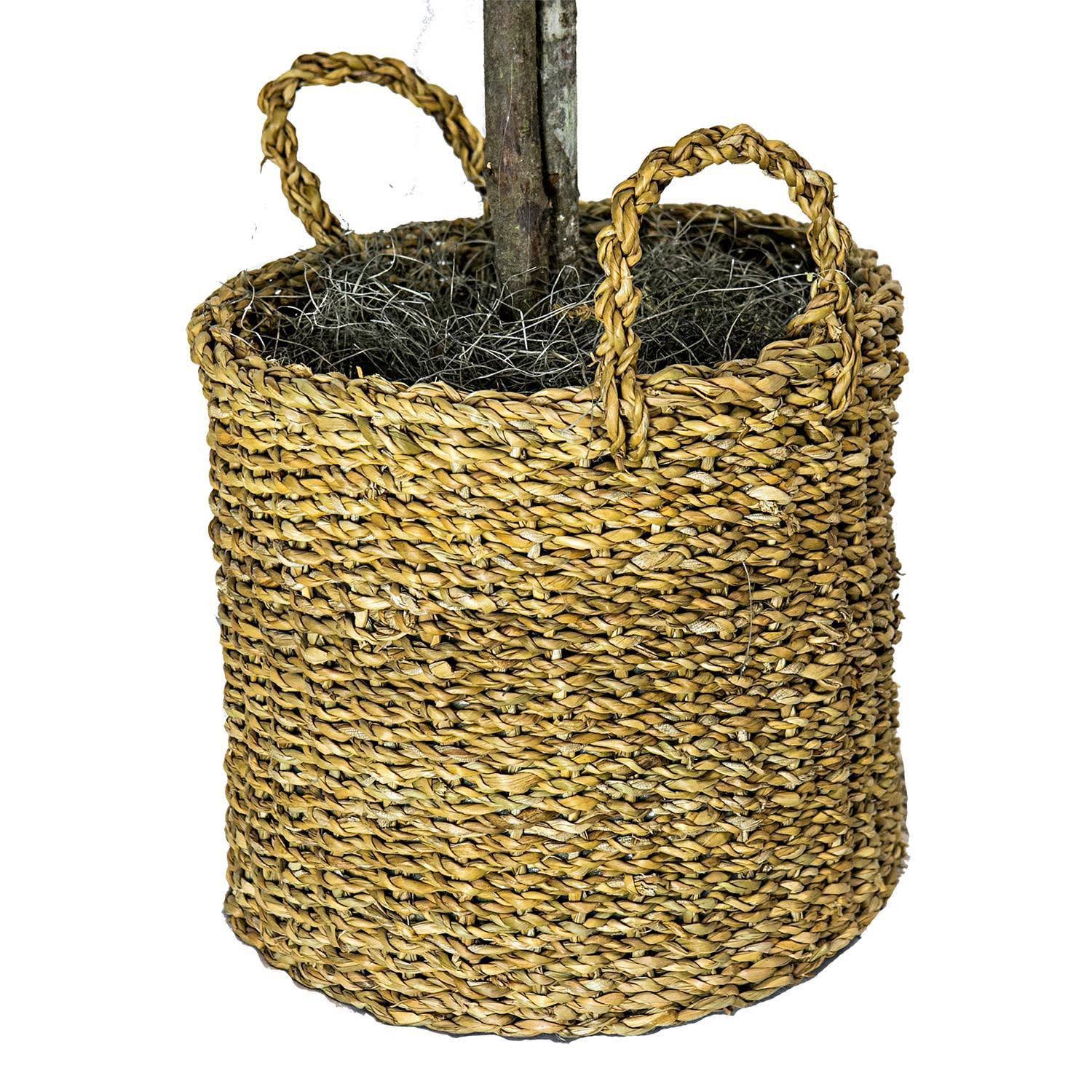 Faux Ficus Tree in Handwoven Basket D90454